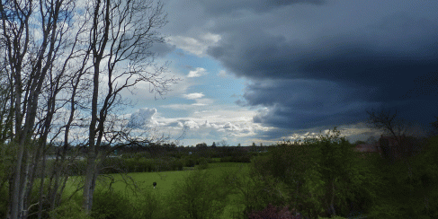 A storm a passes over the meadow...