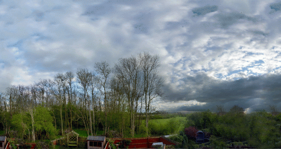 "Take Two" - after storm a passes over the meadow... "Take Two" - after storm a passes over the meadow...