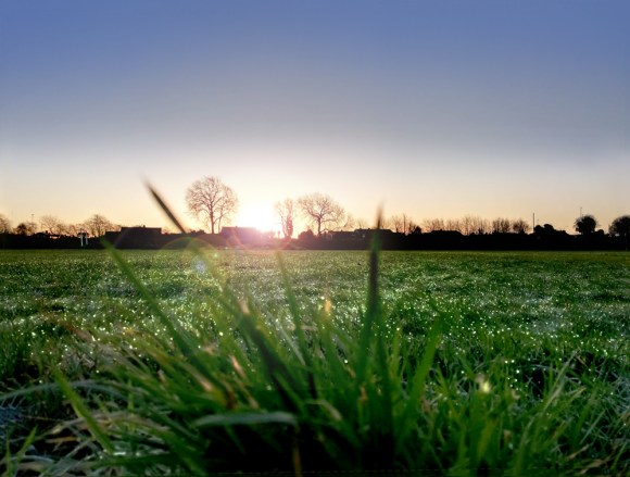 Syston, dog walk - Jan 2020
